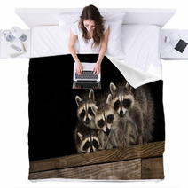 Four Cute Baby Raccoons On A Deck Railing Blankets 99966799