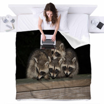 Four Cute Baby Raccoons On A Deck Railing Blankets 99966832