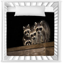 Four Cute Baby Raccoons On A Deck Railing Nursery Decor 99966799