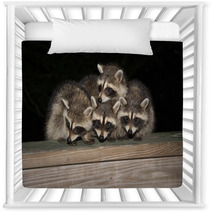 Four Cute Baby Raccoons On A Deck Railing Nursery Decor 99966832
