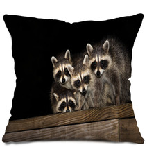 Four Cute Baby Raccoons On A Deck Railing Pillows 99966799