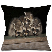 Four Cute Baby Raccoons On A Deck Railing Pillows 99966832