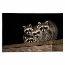 Four Cute Baby Raccoons On A Deck Railing Rugs 99966799