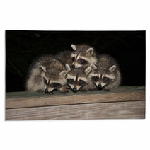 Four Cute Baby Raccoons On A Deck Railing Rugs 99966832