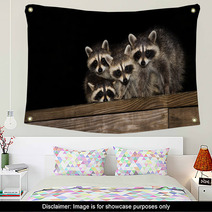 Four Cute Baby Raccoons On A Deck Railing Wall Art 99966799