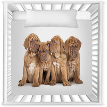 Four French Mastiff Puppies Nursery Decor 63406801