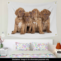 Four French Mastiff Puppies Wall Art 63406801