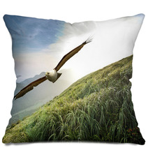 Free Flight Through Our Wings Pillows 68872056