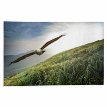 Free Flight Through Our Wings Rugs 68872056