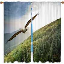 Free Flight Through Our Wings Window Curtains 68872056