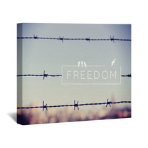 Freedom Quote Concept Barbed Wire Background Wall Art 81885592