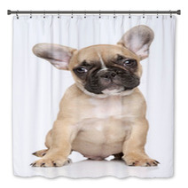 French Bulldog Puppy Portrait Bath Decor 60853030