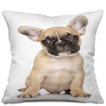 French Bulldog Puppy Portrait Pillows 60853030