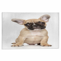 French Bulldog Puppy Portrait Rugs 60853030