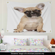 French Bulldog Puppy Portrait Wall Art 60853030