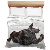 French Bulldog Puppy Resting Bedding 60853024