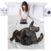 French Bulldog Puppy Resting Blankets 60853024
