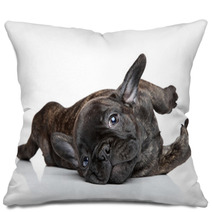French Bulldog Puppy Resting Pillows 60853024