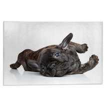 French Bulldog Puppy Resting Rugs 60853024