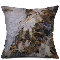 Fresh Blue Crab Or Horse Crab On Ice In The Market Pillows 100437761
