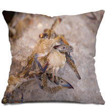 Fresh Blue Crab Or Horse Crab On Ice In The Market Pillows 100438399