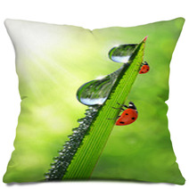 Fresh Morning Dew And Ladybird Pillows 66291481