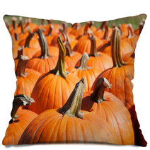 Fresh Pumpkins At A Farm Pillows 45644648