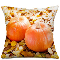 Fresh Pumpkins Pillows 68948122