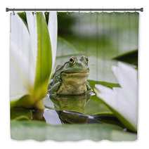 Frog Among White Lilies Bath Decor 35763442