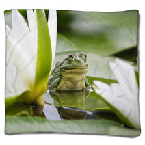 Frog Among White Lilies Blankets 35763442