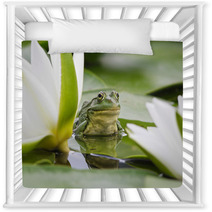 Frog Among White Lilies Nursery Decor 35763442