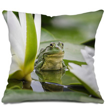 Frog Among White Lilies Pillows 35763442