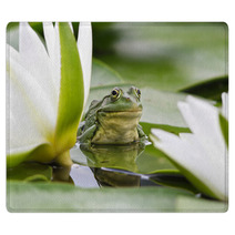 Frog Among White Lilies Rugs 35763442