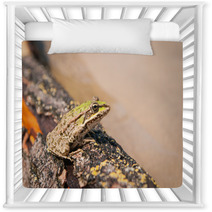 Frog And A Log Ahtuba Russia Nursery Decor 65470656