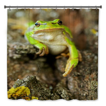 Frog Bath Decor 61537147