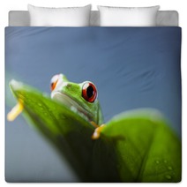 Frog  Bedding 67351670
