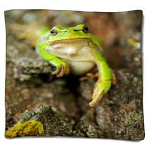 Frog Blankets 61537147