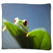 Frog  Blankets 67351670