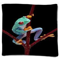 Frog Looking Around Red Vine Blankets 37940659
