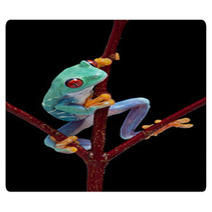 Frog Looking Around Red Vine Rugs 37940659
