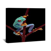 Frog Looking Around Red Vine Wall Art 37940659