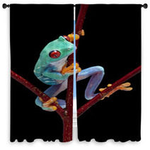 Frog Looking Around Red Vine Window Curtains 37940659