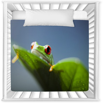 Frog  Nursery Decor 67351670