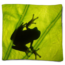 Frog On The Leaf Blankets 37984911