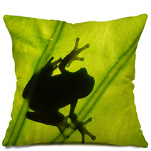 Frog On The Leaf Pillows 37984911