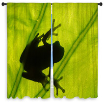 Frog On The Leaf Window Curtains 37984911