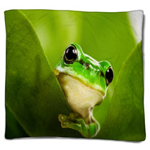 Frog Peeking Out Blankets 6748285