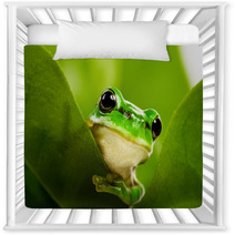 Frog Peeking Out Nursery Decor 6748285