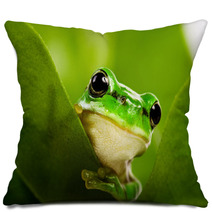 Frog Peeking Out Pillows 6748285