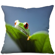 Frog  Pillows 67351670